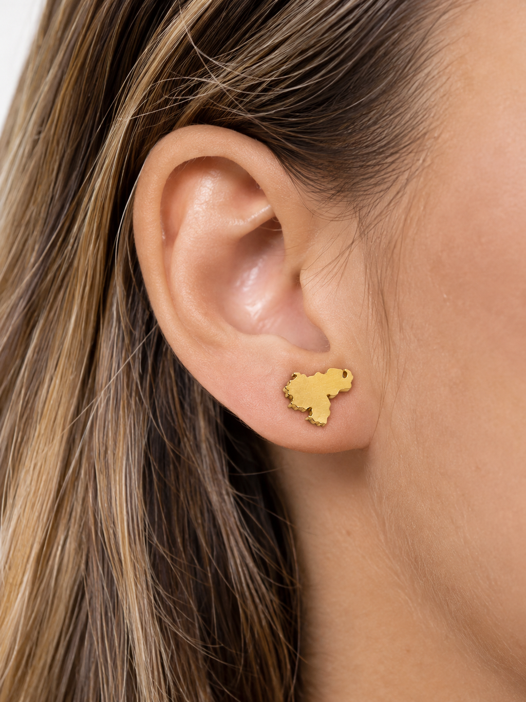Venezuela Earrings
